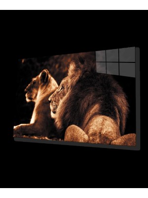 Marsilyan- Aslan Cam Tablo