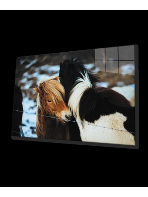 Marsilyan- Atlar Cam Tabo