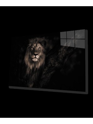 Marsilyan- Aslan Cam Tablo