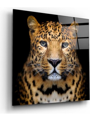 Marsilyan- Leopar Cam Tablo