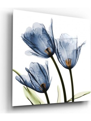 Marsilyan- Lale Cam Tablo