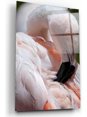 Marsilyan- Flamingo Cam Tablo