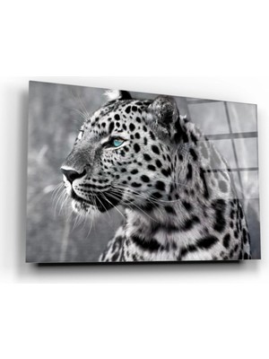 Marsilyan- Leopar Cam Tablo