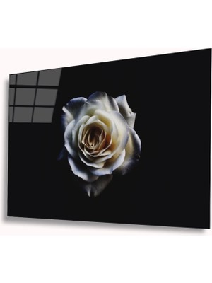 Marsilyan- Beyaz Gül Cam Tablo