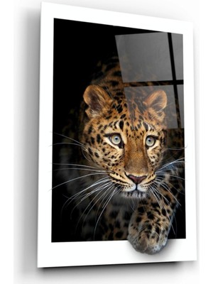 Marsilyan- Leopar Cam Tablo