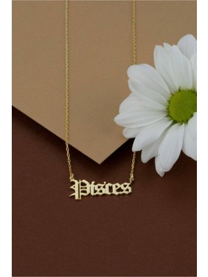 925 Ayar Gümüş Balık Burcu Kolye