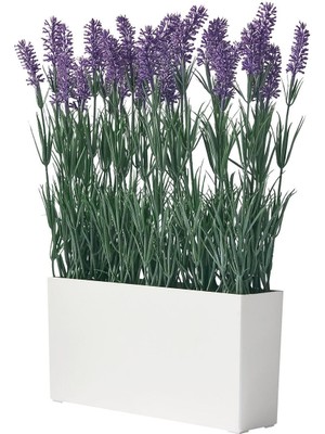 Fejka Saksılı Yapay Bitki, Yeşil-Beyaz, Lavanta Çiçeği, Iç/dış Mekan

saksılı Yapay Bitki, Yeşil-Beyaz, Lavanta Çiçeği, Iç/dış Mekan