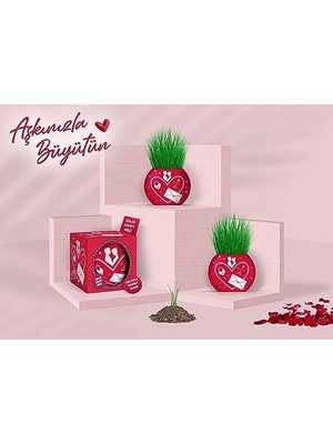 Aşk Temalı 6'lı Çim Adam Bitki Yetiştirme Seti - Romantik ve Eğlenceli Hediye