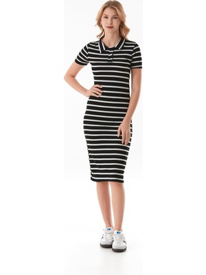 Çizgili Polo Yaka Yarım Düğmeli Elbise