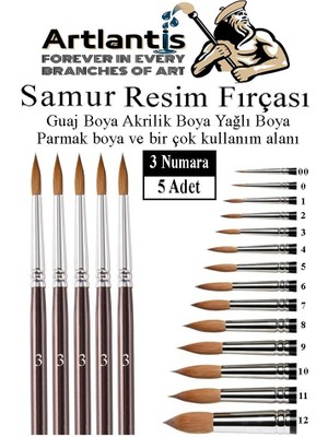 Artlantis Resim Fırçası 3 Numara 5 Li 1 Paket Samur Yuvarlak Uçlu Fırça Seti Guaj Sulu Akrilik Yağlı Boya Fırçaları