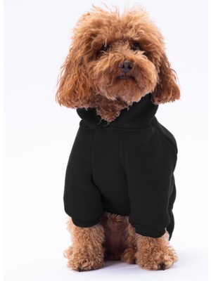 Pettrend Siyah Kanguru Cepli Kedi-Köpek Hoodie- Sweatshirt