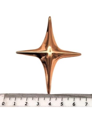 Angel Çanta Aksesuar Kuzey Yıldızı Model  Plaka Süs Light Gold Renk