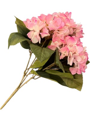 Pembe 5'li Ortanca Demeti