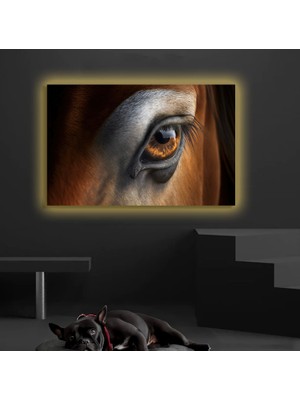 Marsilyan LED Işıklı Kanvas Tablo, 3D Dekoratif Baskılı Tablo Yapay Zeka Desteksli Hayvanlar  251