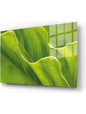 Marsilyan Doğa, Manzara 3D Dekoratif Baskı Yatay Cam Tablo 01