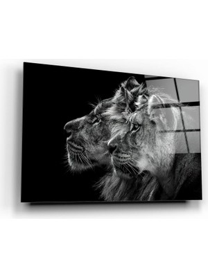Marsilyan Aslan Cam Tablo | Hediyelik, Dekoratif, Ofis, Mutfak