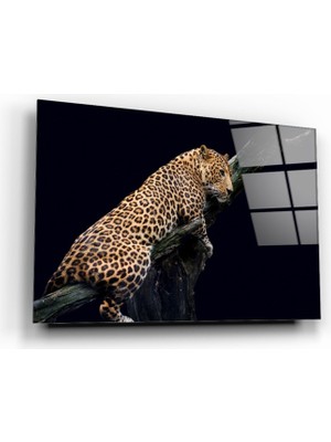 Marsilyan Leopar Cam Tablo | Hediyelik, Dekoratif, Ofis, Mutfak