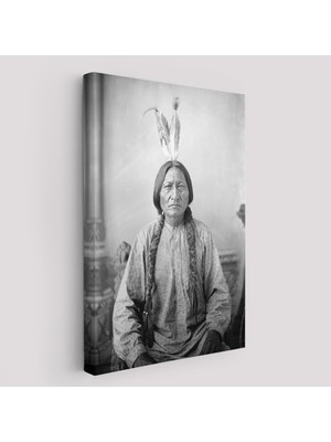 Oturan Boğa Tablosu, Amerikaya Karşı Savaşan Son Kızılderili Kabile Şefi, Sitting BULL-6416