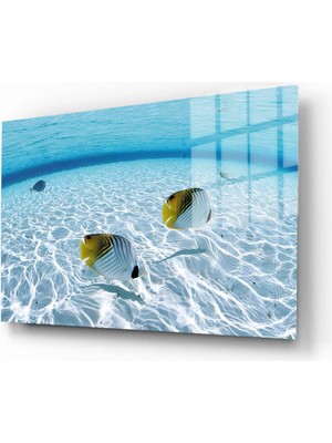 Marsilyan Doğa, Manzara 3D Dekoratif Baskı Yatay Cam Tablo 01