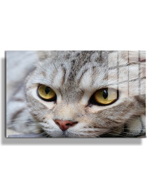 Marsilyan Eğlenceli Hayvanlar, Yapay Zeka Destekli, 3D Dekoratif Baskı Yatay Cam Tablo 592