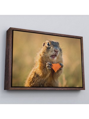 Marsilyan Çerçeveli Şaşkın Sincap Dekoratif Kanvas TABLO-1158