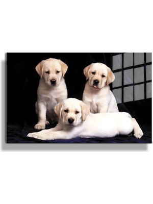 Marsilyan Eğlenceli Hayvanlar, Yapay Zeka Destekli, 3D Dekoratif Baskı Yatay Cam Tablo 87