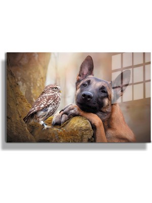 Marsilyan Eğlenceli Hayvanlar, Yapay Zeka Destekli, 3D Dekoratif Baskı Yatay Cam Tablo 165