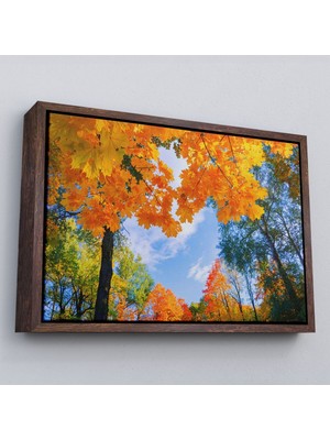 Çerçeveli Sarı Yapraklı Sonbahar Manzarası Duvar TABLOSU-1236