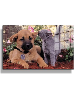 Marsilyan Eğlenceli Hayvanlar, Yapay Zeka Destekli, 3D Dekoratif Baskı Yatay Cam Tablo 329