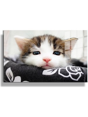 Marsilyan Eğlenceli Hayvanlar, Yapay Zeka Destekli, 3D Dekoratif Baskı Yatay Cam Tablo 625