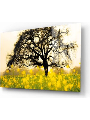 Marsilyan Doğa, Manzara 3D Dekoratif Baskı Yatay Cam Tablo 01