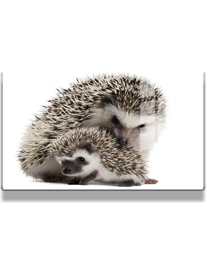 Marsilyan Eğlenceli Hayvanlar, Yapay Zeka Destekli, 3D Dekoratif Baskı Yatay Cam Tablo 94