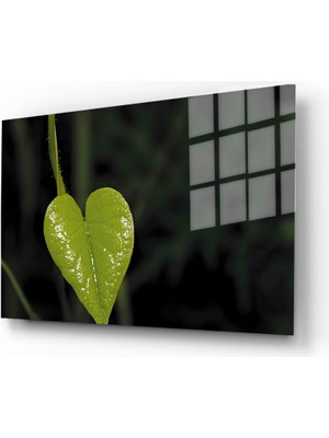 Marsilyan Doğa, Manzara 3D Dekoratif Baskı Yatay Cam Tablo 01