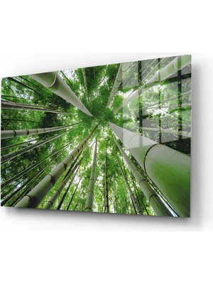 Doğa, Manzara 3D Dekoratif Baskı Yatay Cam Tablo 01