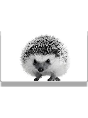 Marsilyan Eğlenceli Hayvanlar, Yapay Zeka Destekli, 3D Dekoratif Baskı Yatay Cam Tablo 163