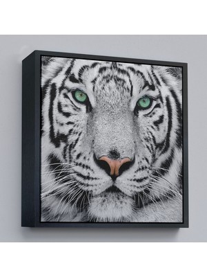 Marsilyan Çerçeveli Kaplan Dekoratif Kanvas TABLO-5807