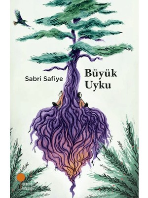 Büyük Uyku - Sabri Safiye