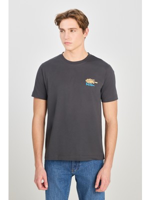 %100 Pamuk Regular Fit Normal Kesim Bisiklet Yaka Baskılı Antrasit Tişört