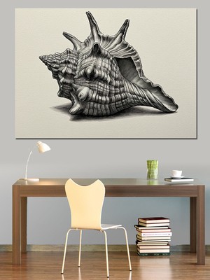 Deniz Kabuğu Tasarımı Dekoratif Kanvas - Mdf Ahşap Tablo