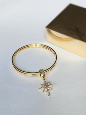 Roya Happiness Charmlı Ajda Bilezik 3lü Ajda Bilezik Kutup Yıldızı Charm Kararmaz Kadın Çelik Bilezik