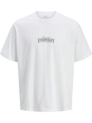 Jack & Jones Jack Jones Jorparallel Tee Ss Crew Neck Tg Erkek Beyaz Tshirt 12275399-01
