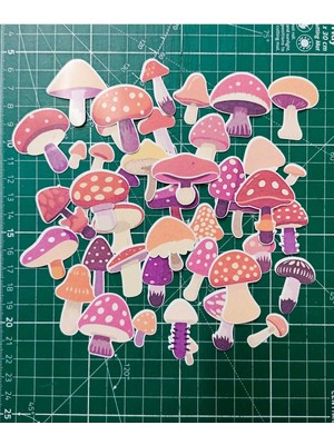 Mantarlar Sticker Seti | Bullet Journal Sticker | Defter | Çıkartma | Scrapbook
