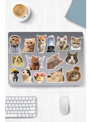 Kedi Temalı Sticker Telefon Laptop Notebook Tablet Defter Matara Stiker Etiket