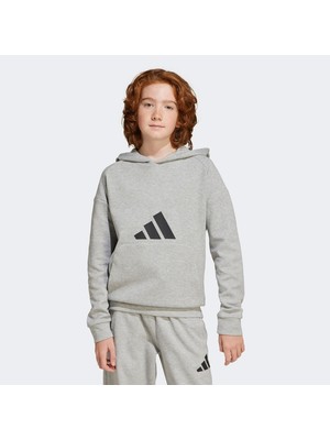 adidas Gri Unisex Çocuk   Sweatshirt J FI LOGO HD JJ4788