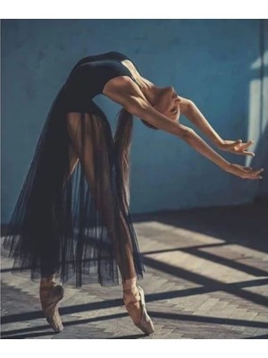 Marsilyan Kanvas Siyah Balerin Sayılarla Boyama Seti Kasnaklı