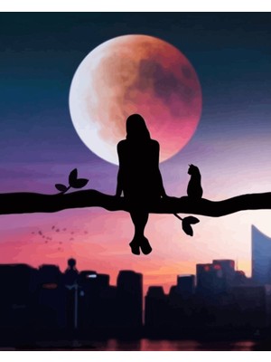 Kanvas Dolunayda Manzara Keyfi Sayılarla Boyama Setikasnaklı