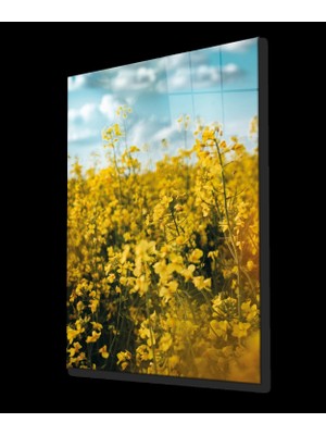 Sarı Manzara Cam Tablo Yellow Landscape