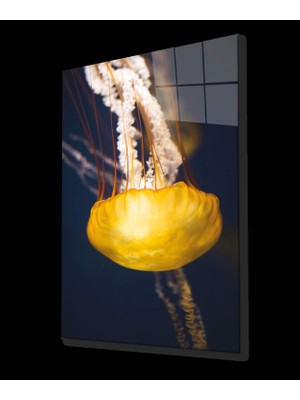 Sarı Denizanası Cam Tablo Yellow Jellyfish
