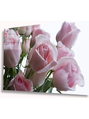 Pembe Güller Cam Tablo
