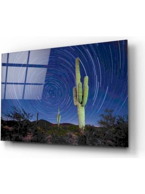 Miraaxx Kaktüs Cam Tablo